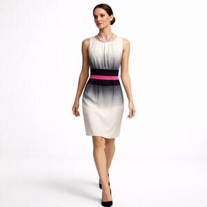 Jay Godfrey Silk Sheath Dress Color Block Ombre Pink Waist Minimalist Sz 10 NWT